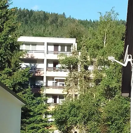 Schwarzwald Anna - Lena 44 Todtmoos