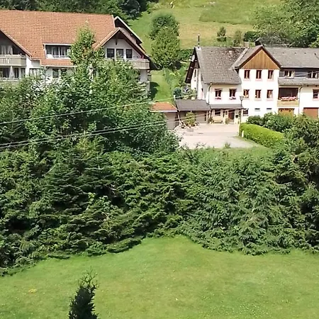 Apartment Schwarzwald Anna - Lena 44 Todtmoos