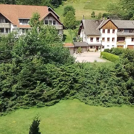 公寓 Schwarzwald Anna - Lena 44 *